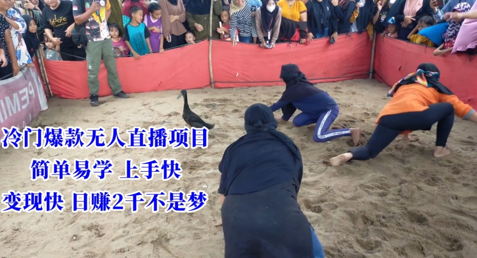 冷门爆款无人直播项目，简单易学上手快，变现快日赚2千不是梦【揭秘】-猫哥网资源库