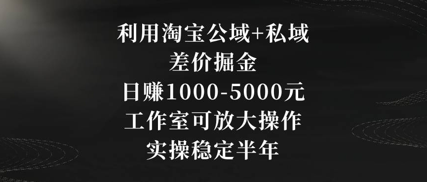 利用淘宝公域+私域差价掘金，日赚1000-5000元，工作室可放大操作，实操稳定半年【揭秘】-猫哥网资源库