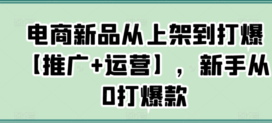 电商新品从上架到打爆【推广+运营】，新手从0打爆款-猫哥网资源库
