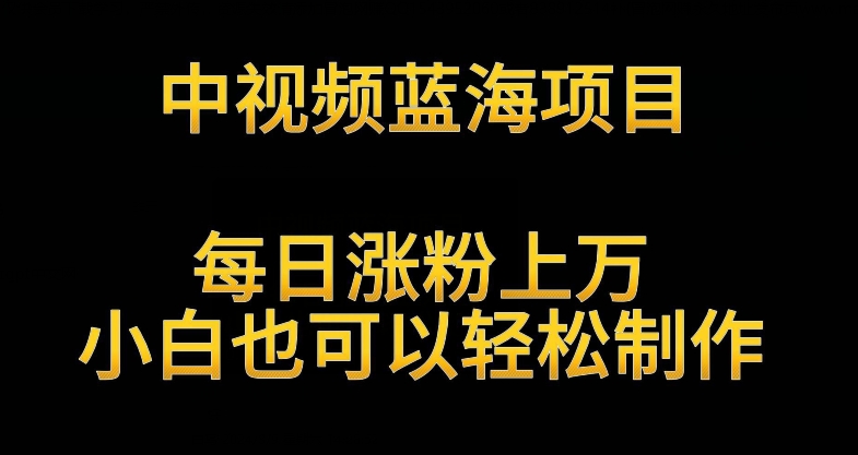 中视频蓝海项目，解读英雄人物生平，每日涨粉上万，小白也可以轻松制作，月入过万不是梦【揭秘】-猫哥网资源库