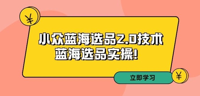 拼多多培训第33期：小众蓝海选品2.0技术-蓝海选品实操！-猫哥网资源库