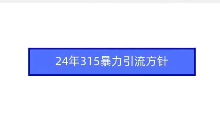 24年315暴力引流方针-猫哥网资源库