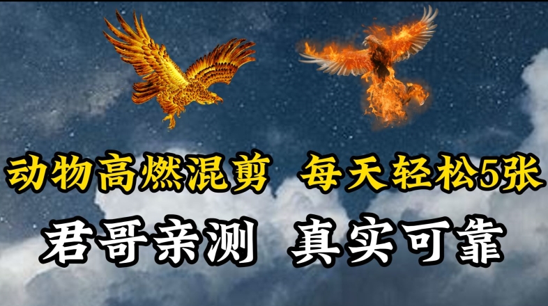 动物超燃混剪，每天轻松5张，剪辑简单大家爱看【揭秘】-猫哥网资源库