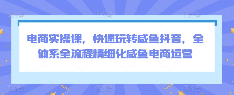 电商实操课，快速玩转咸鱼抖音，全体系全流程精细化咸鱼电商运营-猫哥网资源库