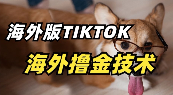抖音海外版tiktok撸金技术，这个风口行业，赚钱真的不难【揭秘】-猫哥网资源库