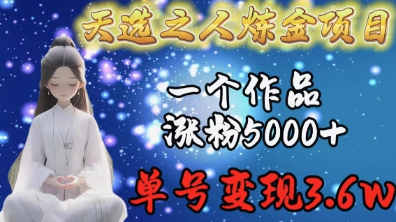 天选之人炼金项目，一个作品涨粉5000+，单号变现3.6w【揭秘】-猫哥网资源库
