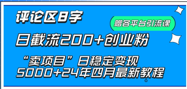 抖音评论区8字日截流200+创业粉 “卖项目”日稳定变现5000+【揭秘】-猫哥网资源库