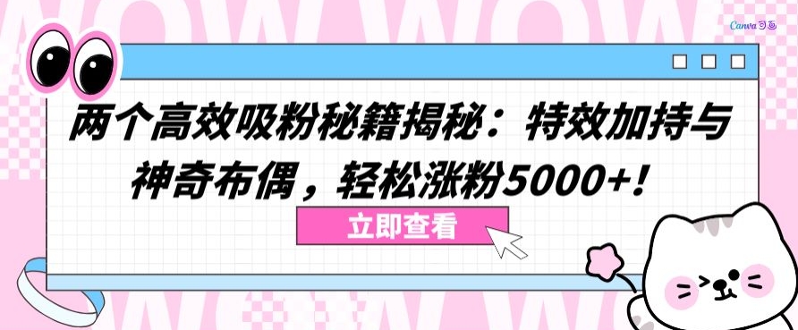 两个高效吸粉秘籍揭秘：特效加持与神奇布偶，轻松涨粉5000+【揭秘】-猫哥网资源库
