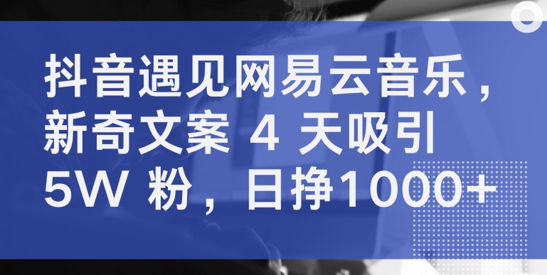 抖音遇见网易云音乐，新奇文案 4 天吸引 5W 粉，日挣1000+【揭秘】-猫哥网资源库