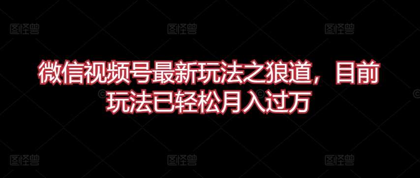 微信视频号最新玩法之狼道，目前玩法已轻松月入过万【揭秘】-猫哥网资源库