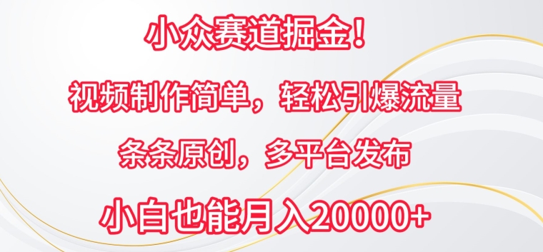 小众赛道掘金，视频制作简单，轻松引爆流量，条条原创，多平台发布【揭秘】-猫哥网资源库