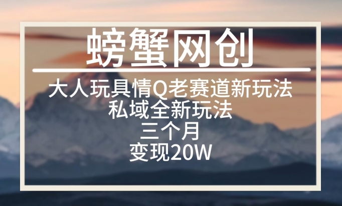 大人玩具情Q用品赛道私域全新玩法，三个月变现20W，老项目新思路【揭秘】-猫哥网资源库