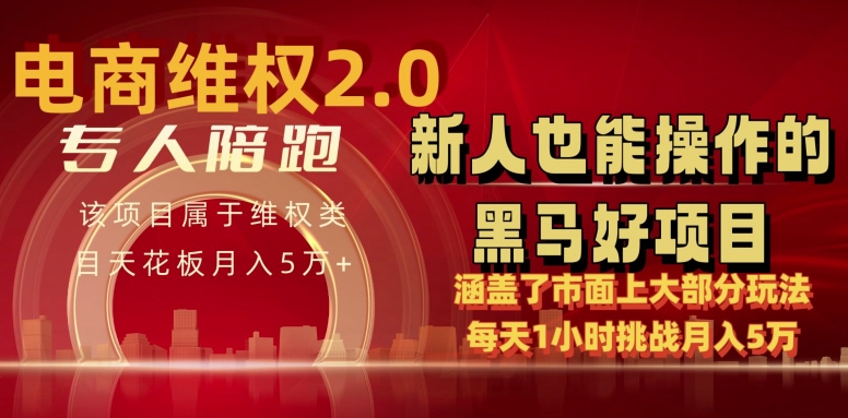 电商维权 4.0 如何做到月入 5 万+每天 1 小时新人也能快速上手【仅揭秘】-猫哥网资源库