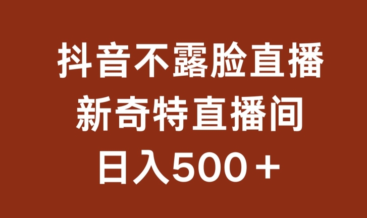 不露脸挂机直播，新奇特直播间，日入500+【揭秘】-猫哥网资源库