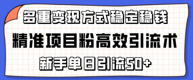 精准项目粉高效引流术，新手单日引流50+，多重变现方式稳定赚钱【揭秘】-猫哥网资源库