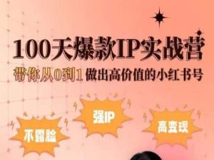 小红书100天爆款IP实战营，带你从0到1做出高价值的小红书号-猫哥网资源库