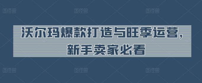 沃尔玛爆款打造与旺季运营，新手卖家必看-猫哥网资源库