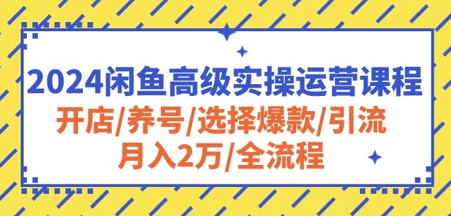 2024闲鱼高级实操运营课程：开店/养号/选择爆款/引流/月入2万/全流程-猫哥网资源库