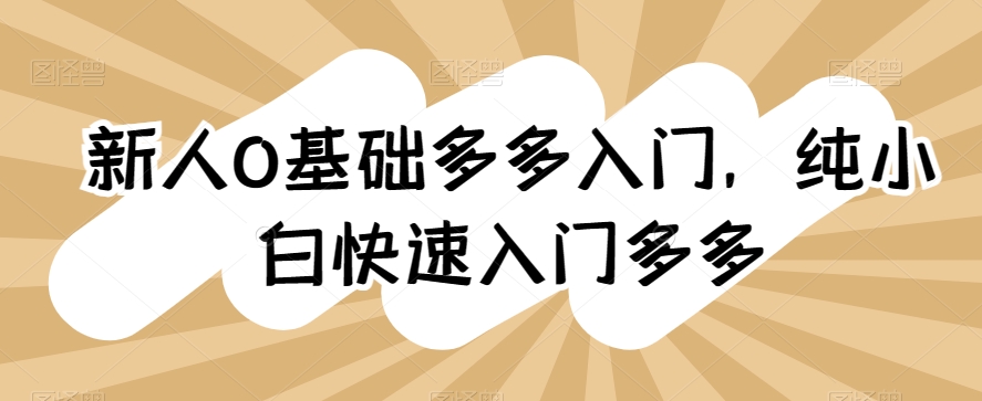 新人0基础多多入门，​纯小白快速入门多多-猫哥网资源库