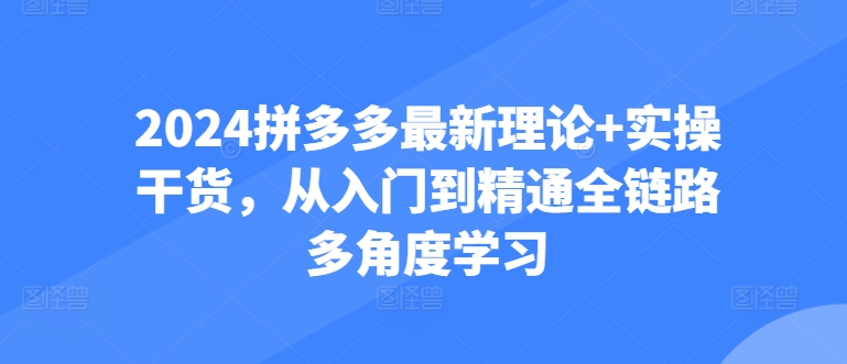 2024拼多多最新理论+实操干货，从入门到精通全链路多角度学习-猫哥网资源库