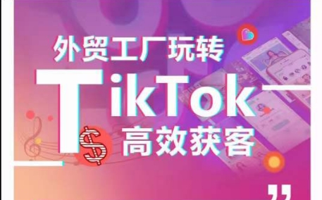 外贸工厂玩转TikTok高效获客，多种引流方式与账号定位技巧，拆解爆款短视频打造成功案例-猫哥网资源库