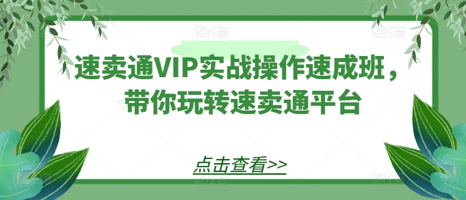 速卖通VIP实战操作速成班，带你玩转速卖通平台-猫哥网资源库