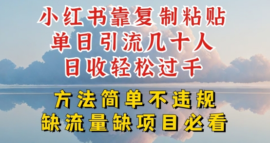 小红书靠复制粘贴单日引流几十人目收轻松过千，方法简单不违规【揭秘】-猫哥网资源库