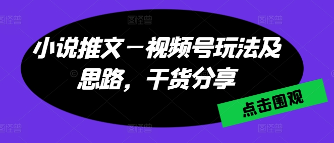 小说推文—视频号玩法及思路，干货分享-猫哥网资源库