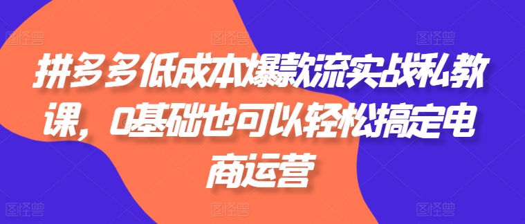 拼多多低成本爆款流实战私教课，0基础也可以轻松搞定电商运营-猫哥网资源库