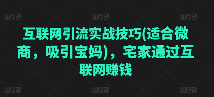 互联网引流实战技巧(适合微商，吸引宝妈)，宅家通过互联网赚钱-猫哥网资源库