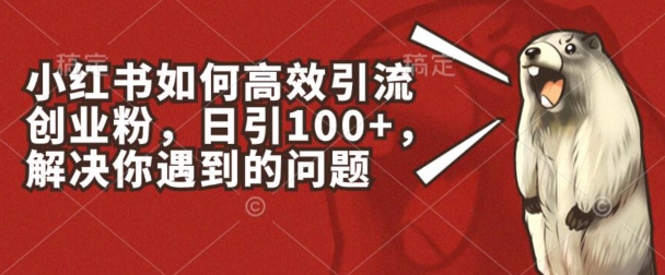 小红书如何高效引流创业粉，日引100+，解决你遇到的问题【揭秘】-猫哥网资源库