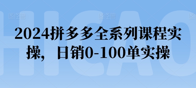 2024拼多多全系列课程实操，日销0-100单实操【必看】-猫哥网资源库