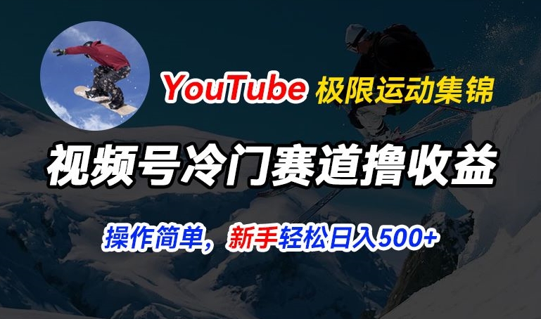 视频号冷门赛道撸收益，YouTube搬运极限运动集锦，暴力起号，操作简单流量高，轻松日入5张【揭秘】-猫哥网资源库