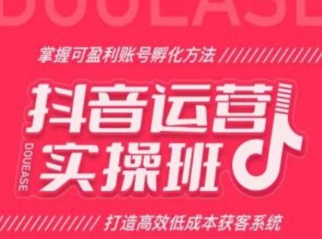 抖音运营实操班，掌握可盈利账号孵化方法，打造高效低成本获客系统-猫哥网资源库
