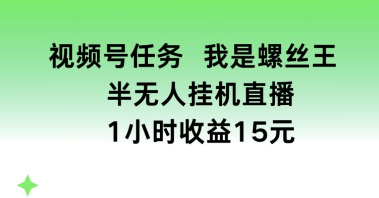 视频号任务，我是螺丝王， 半无人挂机1小时收益15元【揭秘】-猫哥网资源库