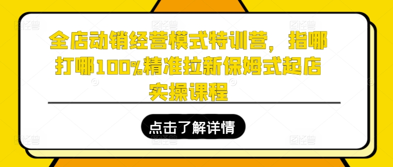 全店动销经营模式特训营，指哪打哪100%精准拉新保姆式起店实操课程-猫哥网资源库