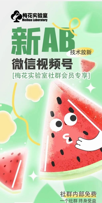 梅花实验室2024年AB技术视频号AB合成破解版-猫哥网资源库