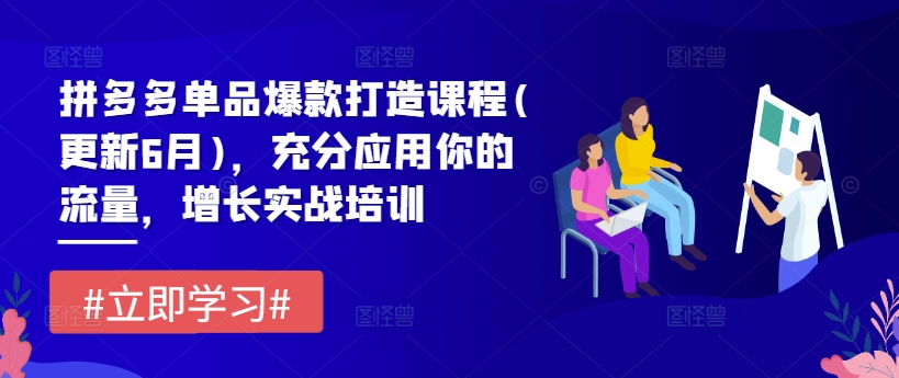 拼多多单品爆款打造课程(更新6月)，充分应用你的流量，增长实战培训-猫哥网资源库
