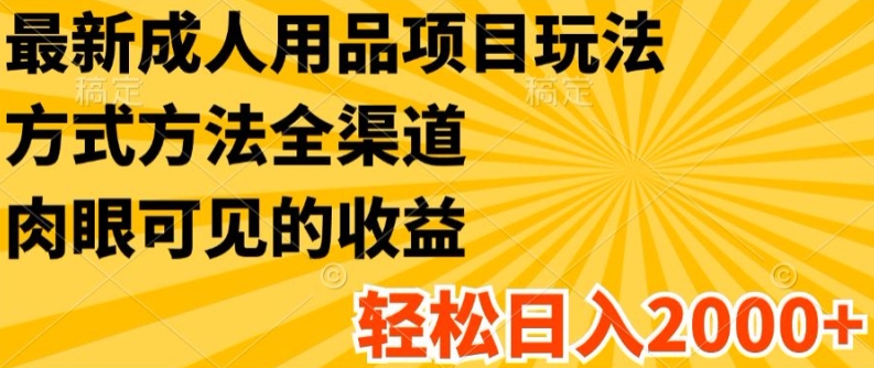 最新成人用品项目玩法，方式方法全渠道，轻松日入2K+【揭秘】-猫哥网资源库