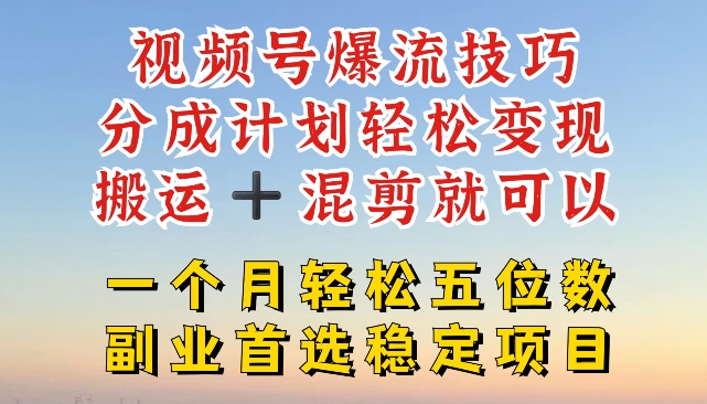 视频号爆流技巧，分成计划轻松变现，搬运 +混剪就可以，一个月轻松五位数稳定项目【揭秘】-猫哥网资源库