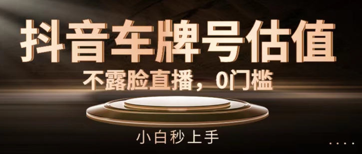 抖音车牌号估值，不露脸直播，0门槛，小白秒上手【揭秘】-猫哥网资源库