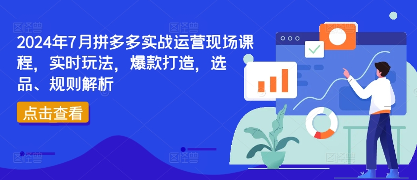 2024年7月拼多多实战运营现场课程，实时玩法，爆款打造，选品、规则解析-猫哥网资源库