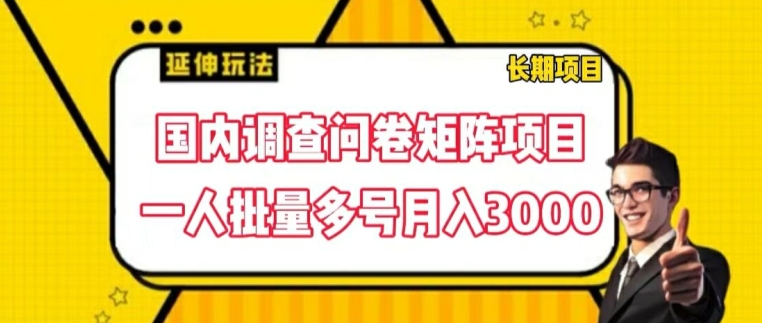 国内调查问卷矩阵项目，一人批量多号月入3000【揭秘】-猫哥网资源库