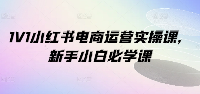 1V1小红书电商运营实操课，新手小白必学课-猫哥网资源库