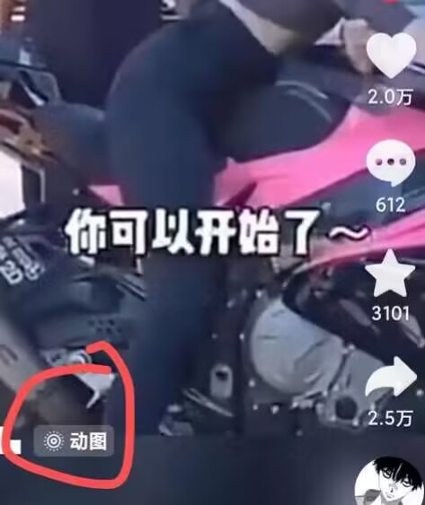 2024年7月苹果手机动图搬运技术-猫哥网资源库