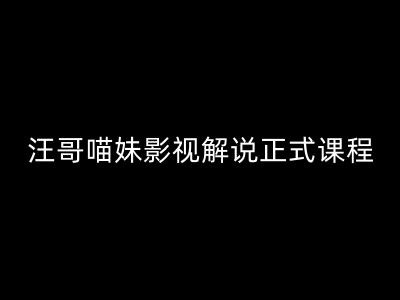 汪哥影视解说正式课程：剪映/PR教学/视解说剪辑5大黄金法则/全流程剪辑7把利器等等-猫哥网资源库