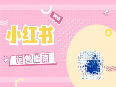 小红书运营指南，没有套路，全是经验-猫哥网资源库
