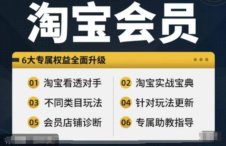 淘宝会员【淘宝所有课程，全面分析对手】，初级到高手全系实战宝典-猫哥网资源库
