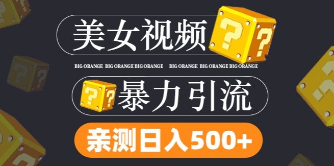 搬运tk美女视频全网分发，日引s粉300+，轻松变现，不限流量不封号【揭秘】-猫哥网资源库