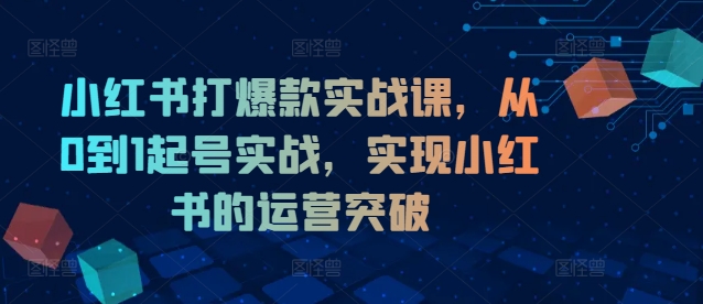 小红书打爆款实战课，从0到1起号实战，实现小红书的运营突破-猫哥网资源库